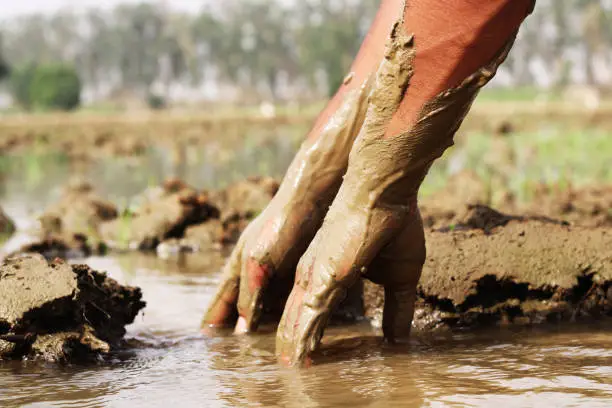 Photo of Human hand in mud