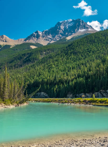 istock Bow River and Canadian Rockies Landscape 1139885186