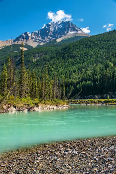 istock Bow River and Canadian Rockies Landscape 1139885246