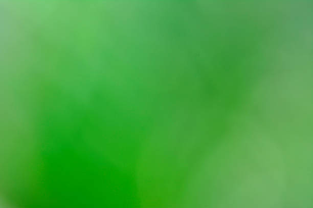 istock Green background with soft and blur in defocus for design and pattern jobs 1139887013