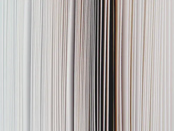 Photo of Page open book background. Hundreds pages macro