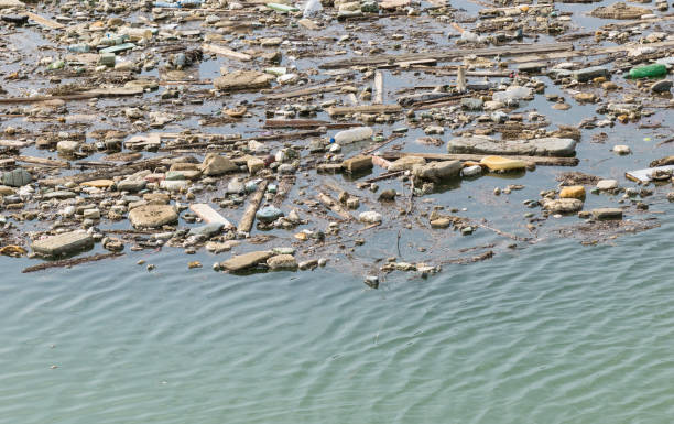istock Plastic bottles and other trash floating in water 1139887785