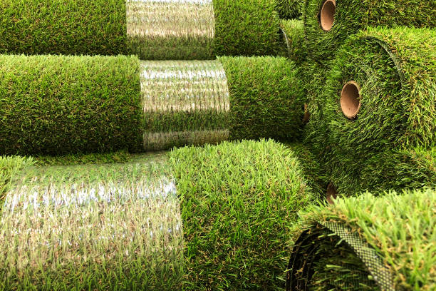 istock Rolls of new artificial grass on the counter in the store 1139889052