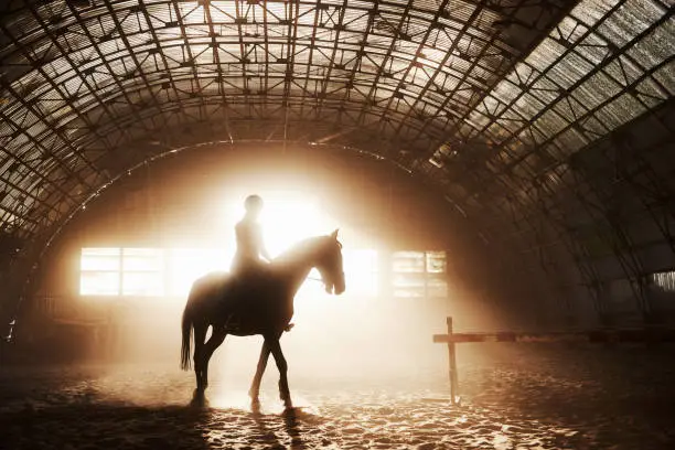 Photo of Majestic image of horse horse silhouette with rider on sunset background. The girl jockey on the back of a stallion rides in a hangar on a farm and jumps over the crossbar. The concept of riding