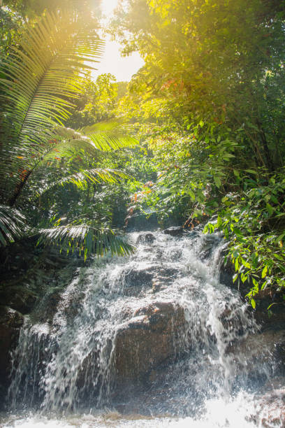 istock Running water of tropical waterfall in rainforest under sun light 1139892440