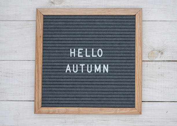 istock Hello autumn text on wooden letter Board in white letters on grey background 1139894802