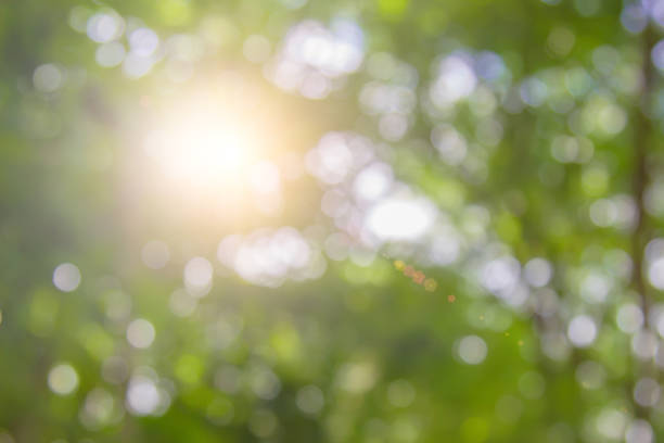 istock Natural spring blurred green leaves background. 1139895881