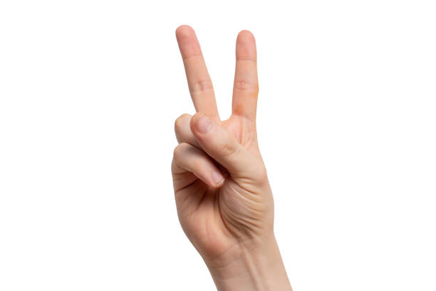 istock Victory sign gesture on a white background. 1139896025