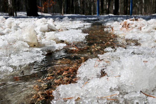 istock Spring creek flows in the  amid melting snow 1139896387