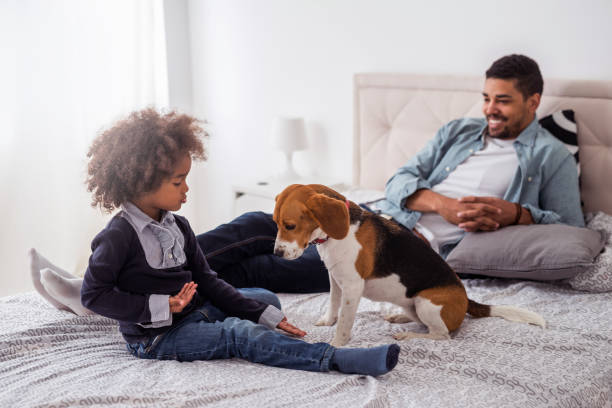 istock More than a pet, he's family! 1139897361