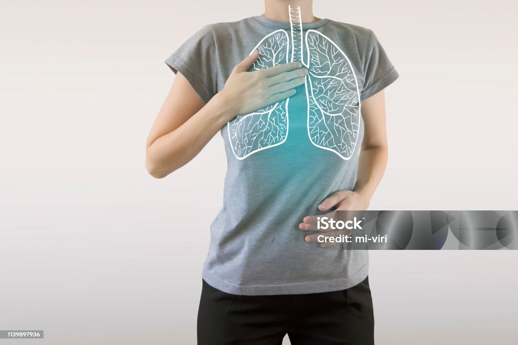 graphic visualisation of healthy human lungs highlighted blue highlighted blue  healthy lungs on woman body Breathing Exercise Stock Photo