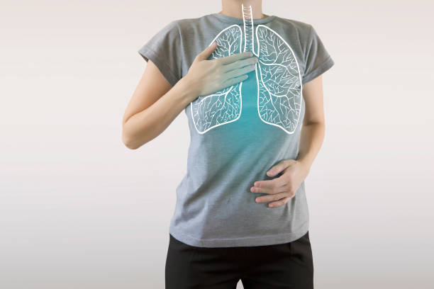 graphic visualisation of healthy human lungs highlighted blue highlighted blue  healthy lungs on woman body metastasis photos stock pictures, royalty-free photos & images