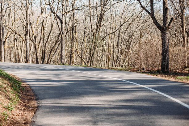 istock turn the asphalt road in forest, in Park in early spring 1139903511
