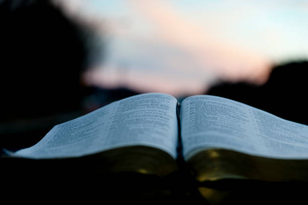 istock Open Holy Bible inside the car. Blurred background with beautiful blue sky and pink clouds at sunset. 1139907788