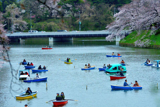 osservazione dei fiori di ciliegio dalla barca al chidorigafuchi park, tokyo - japan nautical vessel sakura tokyo prefecture foto e immagini stock