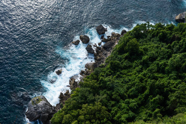 istock Waves on beautiful sea rocky  coastline with green trees 1139912759