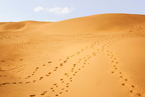 Sam Sand Dunes, Jaisalmer, Rajasthan, India.