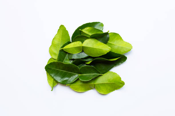 istock Bergamot kaffir lime leaves herb fresh ingredient isolated on white background. 1139914909