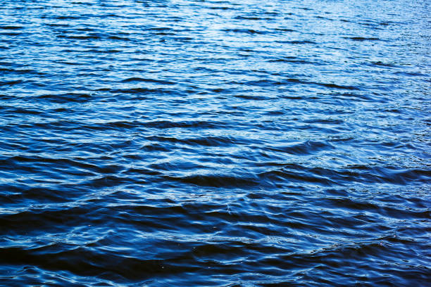 istock windy lake, little blue waves on the river, background 1139914962