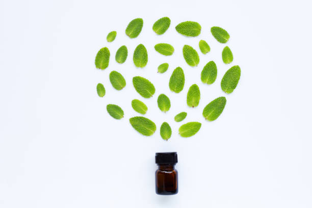 istock Essential oil with fresh apple mint leaves on white 1139916374