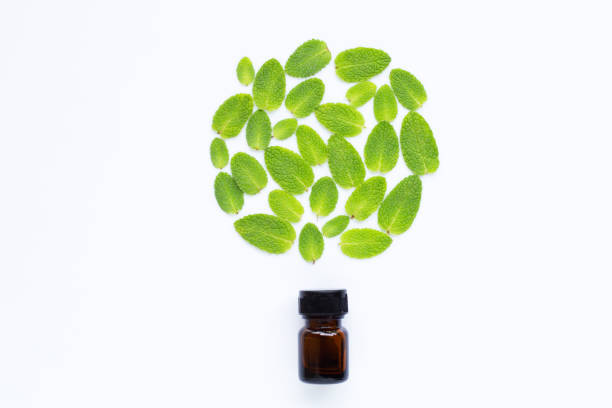 istock Essential oil with fresh apple mint leaves on white 1139916389