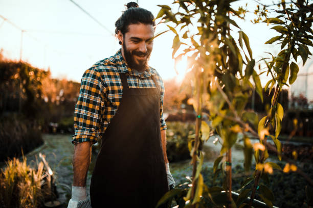 istock Man looking t the plant 1139917270