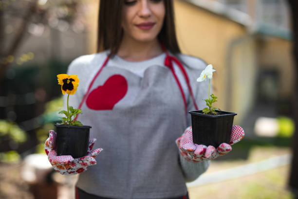 istock Woman holds two flowers for potting 1139917556