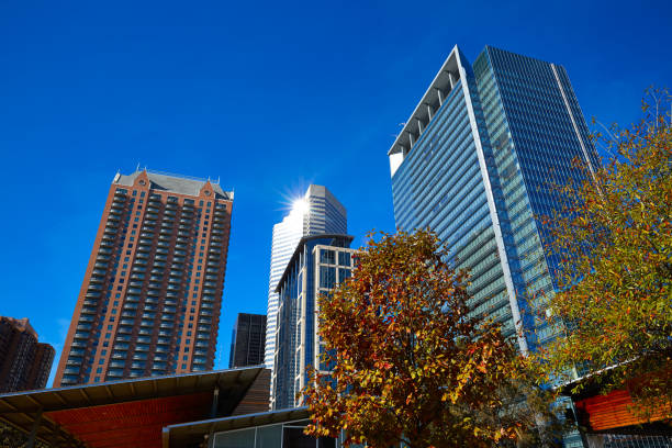 istock Houston Discovery green park in Texas 1139917737
