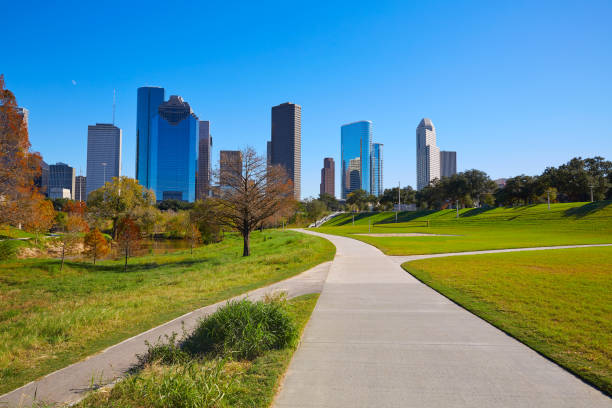 istock Houston skyline in sunny day from park grass 1139919156
