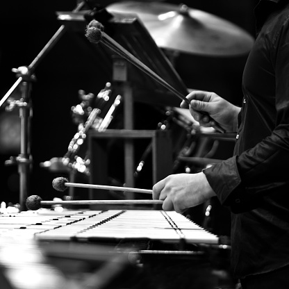 Hands of a music player playing a vibraphone close-up in black and white