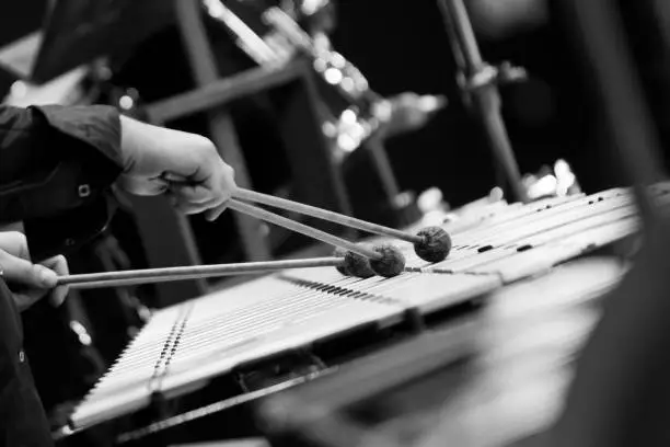 Photo of Hands of a music player playing a vibraphone