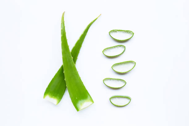 istock Aloe vera leaves with slices on white 1139919460