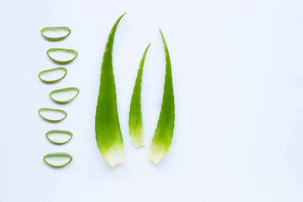 istock Aloe vera leaves with slices on white 1139919844