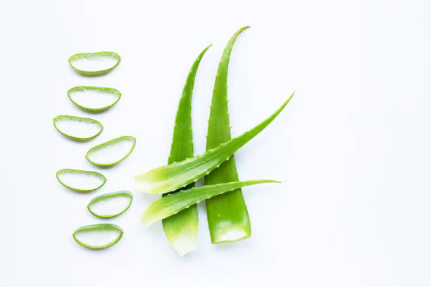 istock Aloe vera leaves with slices on white 1139919995