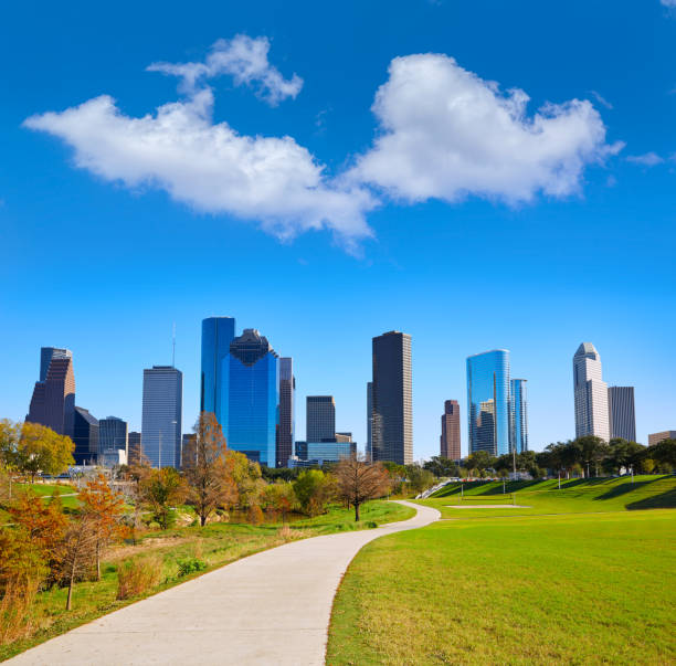 istock Houston skyline in sunny day from park grass 1139924138