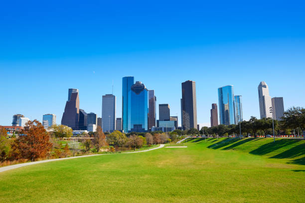 horizonte de houston en el día soleado del parque de césped - houston texas skyline texas office building fotografías e imágenes de stock