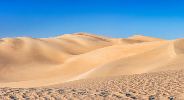 grande mare di sabbia, deserto del sahara, africa - great sand sea foto e immagini stock