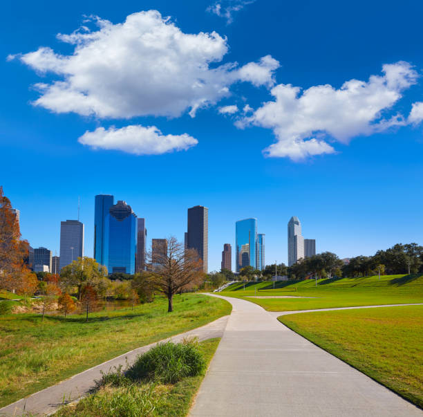 istock Houston skyline in sunny day from park grass 1139926397