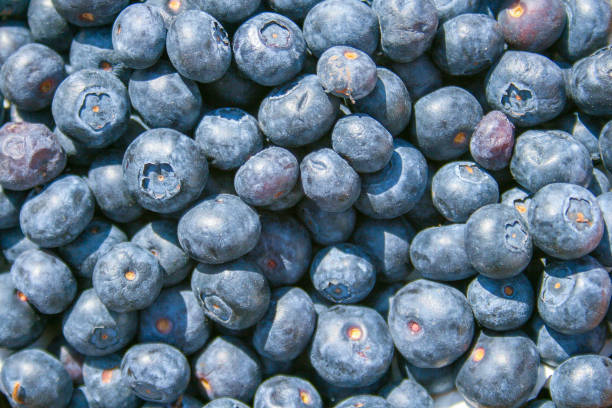 istock Fresh organic ripe blueberries in a basket 1139933305
