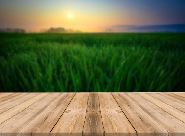 istock Top of wooden table on nature background - Image 1139934384