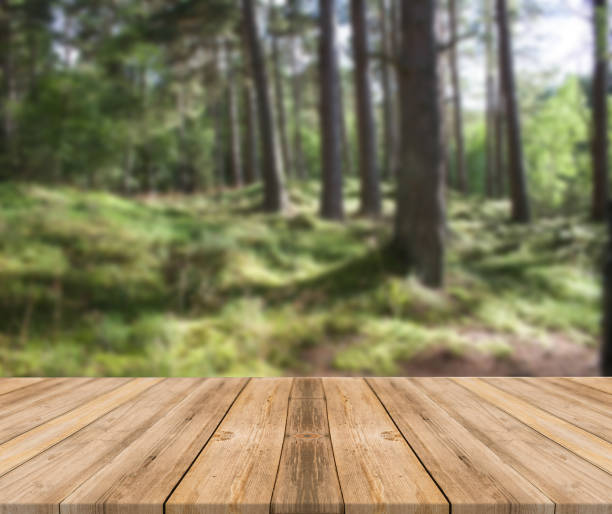 istock Top of wooden table on nature background - Image 1139934447