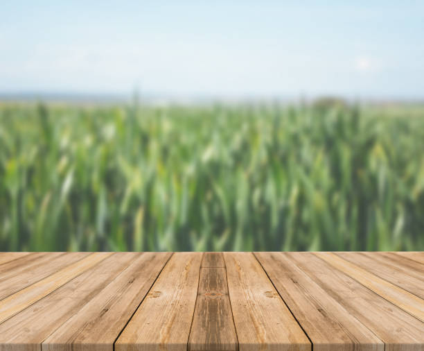 istock Top of wooden table on nature background - Image 1139934685