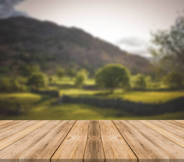istock Top of wooden table on nature background - Image 1139938589
