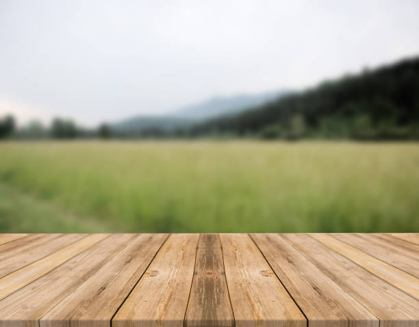 istock Top of wooden table on nature background - Image 1139938953