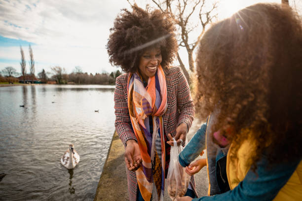 istock Taking Turns to Feed the Swans 1139939230
