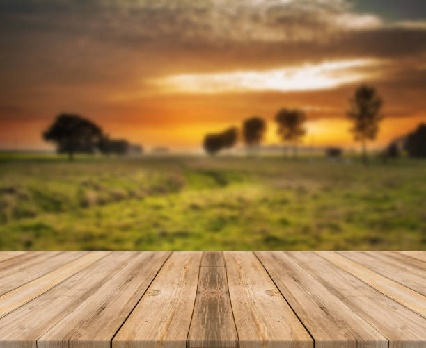 istock Top of wooden table on nature background - Image 1139939322