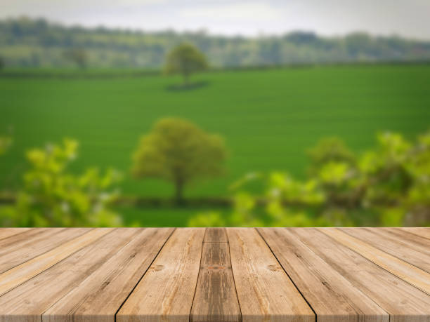istock Top of wooden table on nature background - Image 1139939650