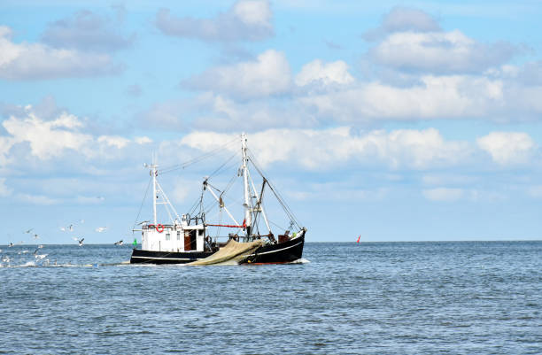 pesca no mar do norte perto de büsum em frisia norte (alemanha) - kutter - fotografias e filmes do acervo