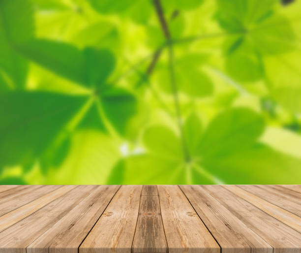 istock Top of wooden table on nature background - Image 1139939678