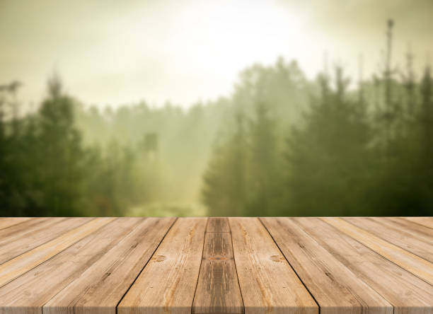 istock Top of wooden table on nature background - Image 1139939949